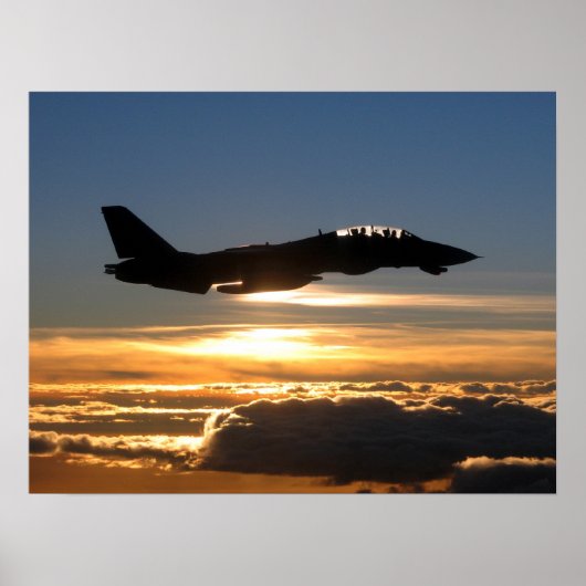 F-14D Tomcat ポスター (正面)