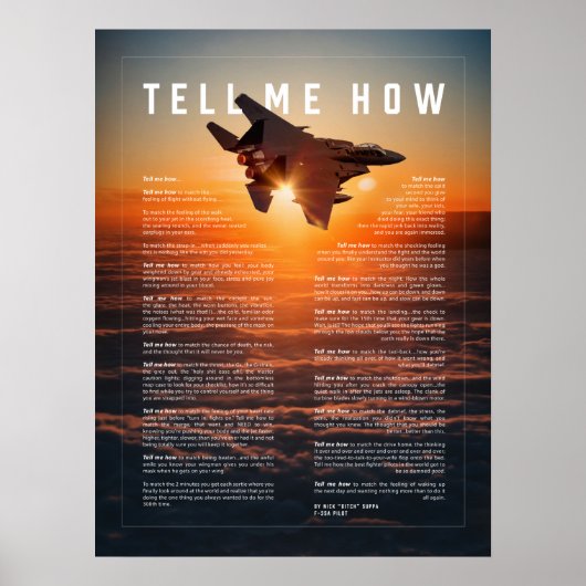 F-15Eと教える軍隊パイロット ポスター (正面)