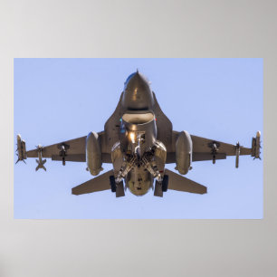 F-16ファイティング《鳥》ハヤブサ ポスター