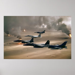 F-16戦いの《鳥》ハヤブサおよびF-15イーグルス ポスター