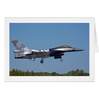 F-16戦いの《鳥》ハヤブサ