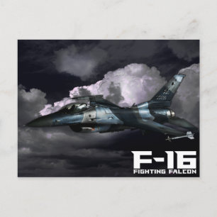 F-16戦いの《鳥》ハヤブサ ポストカード