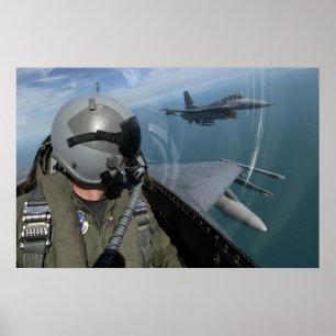 F-16戦闘機《鳥》ハヤブサ ポスター