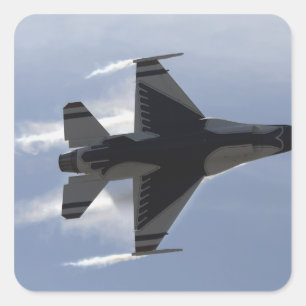 F-16戦闘用《鳥》ハヤブサが高いG スクエアシール