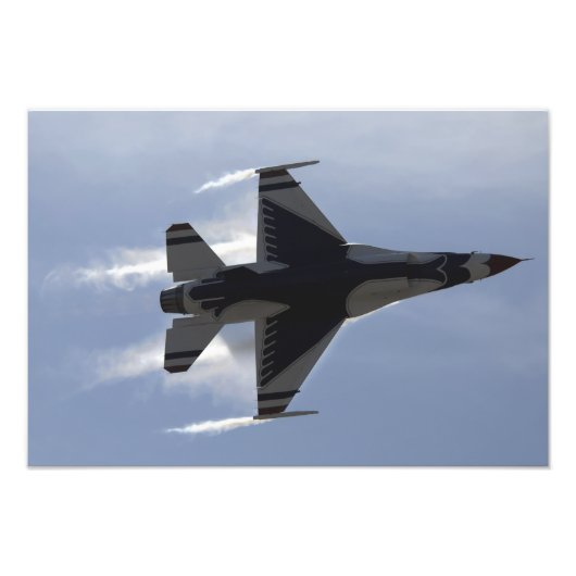 F-16戦闘用《鳥》ハヤブサが高いG フォトプリント            (正面)