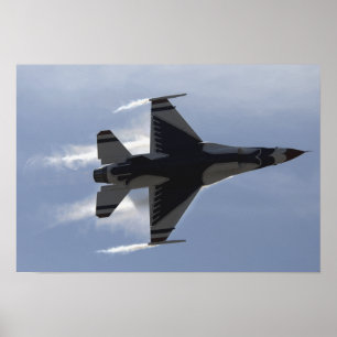 F-16戦闘用《鳥》ハヤブサが高いG ポスター