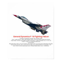 F-16戦闘用《鳥》ハヤブサ戦闘機