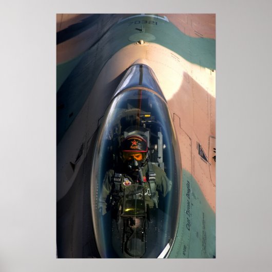 F-16戦闘用《鳥》ハヤブサ航空機 ポスター (正面)