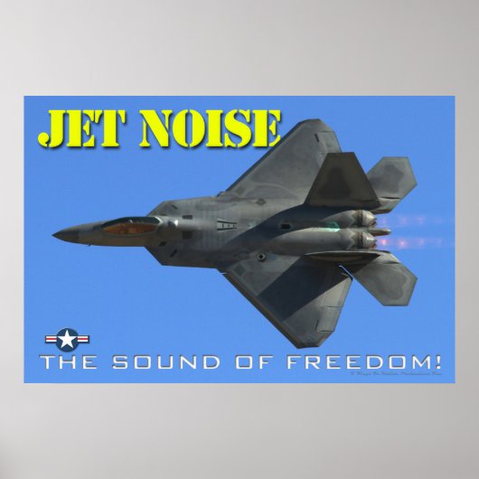 F-22ジェット騒音ポスター ポスター (正面)
