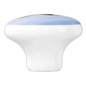 F-22ラプター軍隊ジェット セラミックノブ (側面)