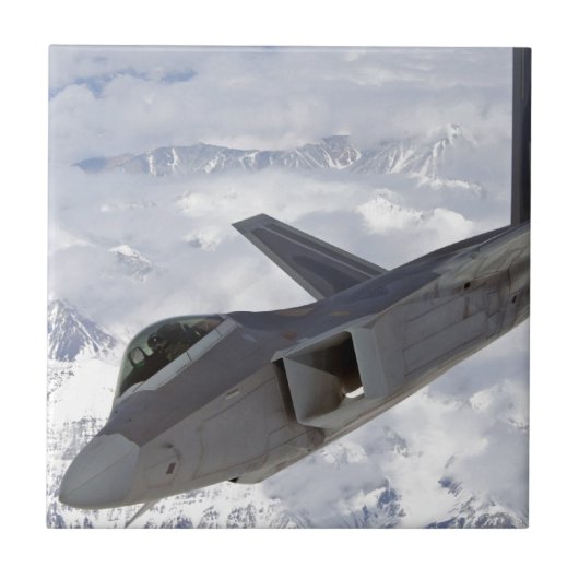 F-22猛禽Elmendorf AFB タイル (正面)