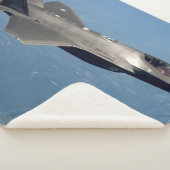 F-35戦闘機 シェルパブランケット (3/4)