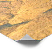 F-4ファントム及びF-22ラプター形成飛行 ポスター (角)