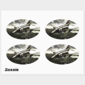 F-4ファントム戦闘機ジェット 楕円形シール (シート)