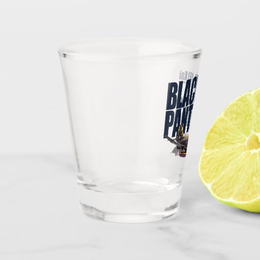 ”F-4EJ Kai Black Panthers 2008” ショットグラス (左)