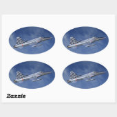 F-5自由戦闘機 楕円形シール (シート)