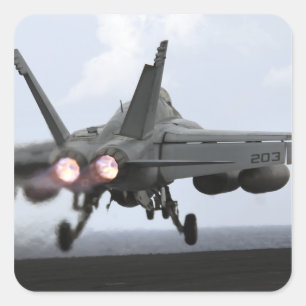 F/A-18Eによってすごいスズメバチの進水 スクエアシール