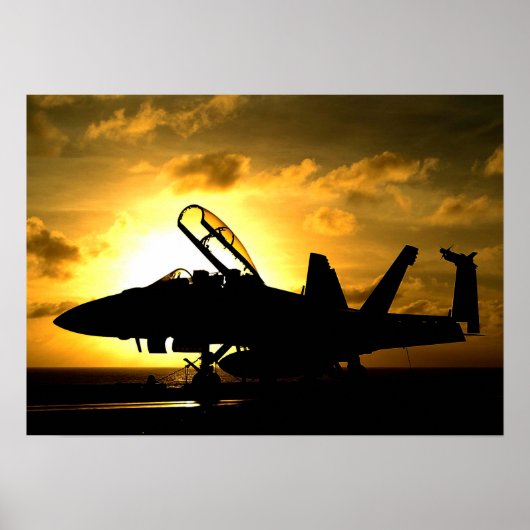 F/A-18Fホーネすごいット ポスター (正面)