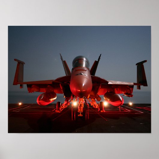 F/A-18Fホーネすごいット ポスター (正面)