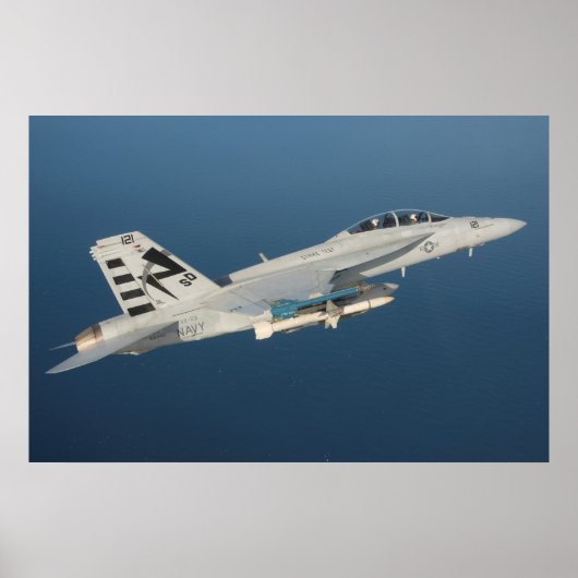 F/A-18Fホーネすごいット ポスター (正面)