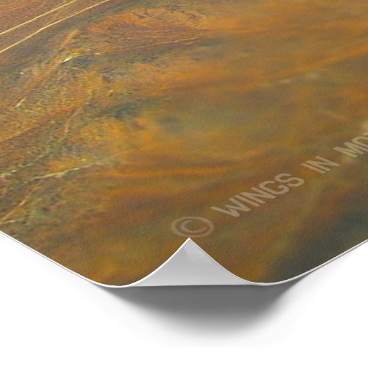 F/A-18F SUPER HORNET ポスター (角)