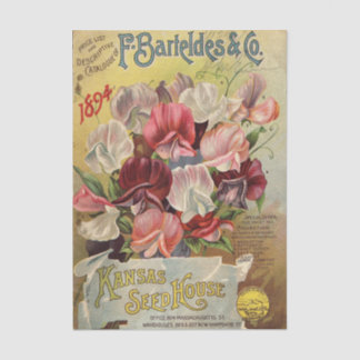 F. Barteldes & Co 1894 Vintage Seed Catalog 薄葉紙