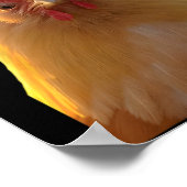 F-caw-f Funny Chicken Humor F-caw-f Quote Trump  ポスター (角)