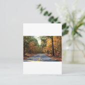 F.D.ルーズベルト州パーク – パインマウンテン，ジョージア ポストカード (スタンド正面)