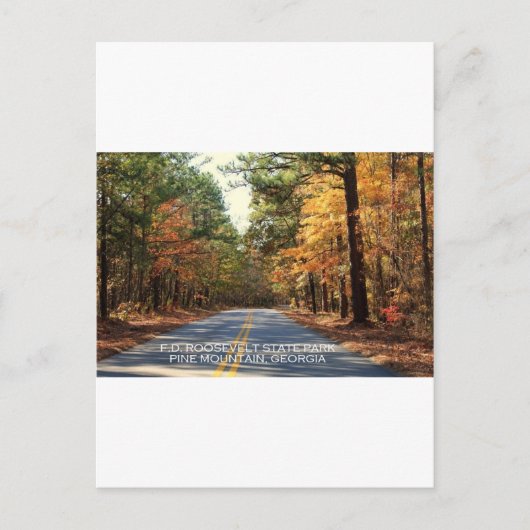 F.D.ルーズベルト州パーク – パインマウンテン，ジョージア ポストカード (正面)