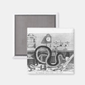 Fable of the Snake and the Files マグネット (正面/裏面)