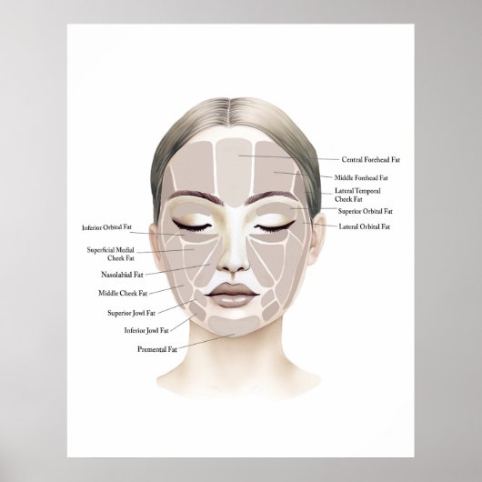 Face Anatomy Print 1  ポスター (正面)