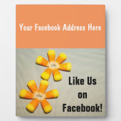 Facebookでイイね!キャンディコーンのカウンターサイン フォトプラーク (正面)