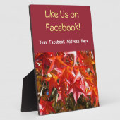 Facebookのカウンターで我々のようにプラーク秋 フォトプラーク (側面)