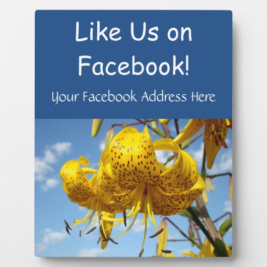 Facebook Counter Retailサービスシンボルや象徴のLike Us フォトプラーク (正面)