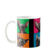 Facebuilding (Sphynxの子ネコ)