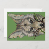 faceliketankによるコヨーテ葉書 ポストカード (正面/裏面)