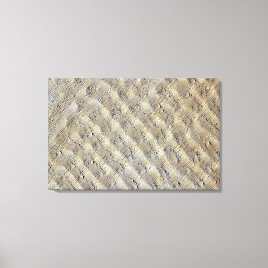 Fachi-Bilma ergの砂丘 キャンバスプリント (正面)