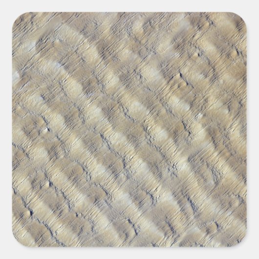 Fachi-Bilma ergの砂丘 スクエアシール (正面)