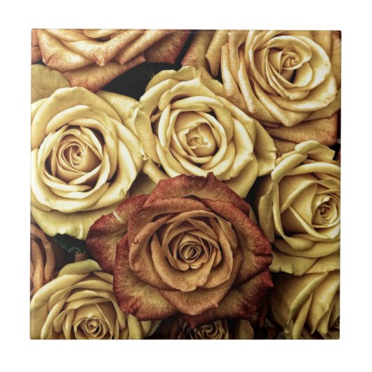 Faded Sepia Roses タイル (正面)