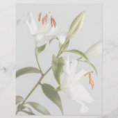 Faded white lily scrapbook paper (正面)