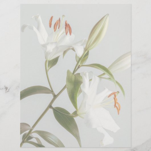 Faded white lily scrapbook paper (正面)