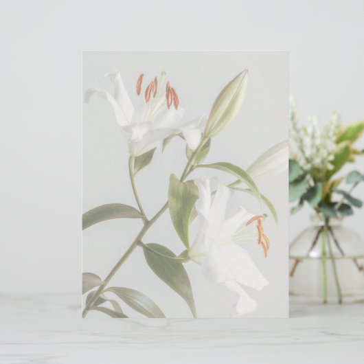 Faded white lily scrapbook paper (スタンド正面)