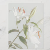 Faded white lily scrapbook paper (正面/裏面)