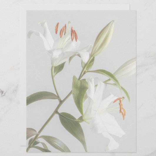 Faded white lily scrapbook paper (正面/裏面)