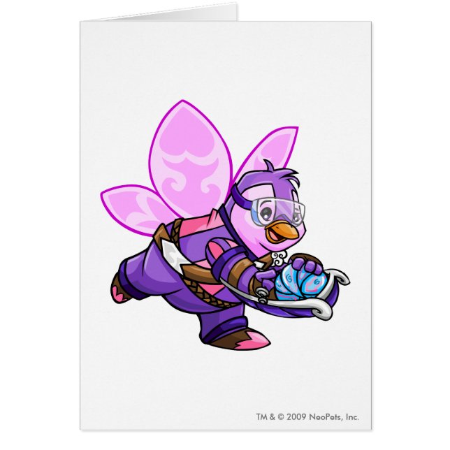 Faerielandのチーム大尉2 (正面)