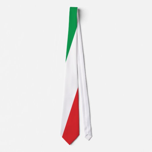 Fahne Flagge flag Italien Italy Italia ネクタイ (正面)