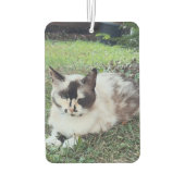 「Fail Fast and」学の文字と写真やる気を起こさせる、 カーエアーフレッシュナー (裏面)