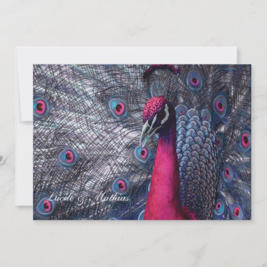 Faire-part mariage Paon 招待状 (正面)