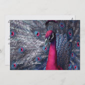 Faire-part mariage Paon 招待状 (正面/裏面)