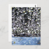 Fairies Dancing, Esoteric Surreal Nature Story ポストカード (正面/裏面)